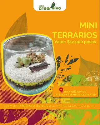 Mini terrarios