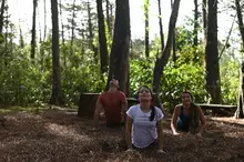 Yoga al bosque