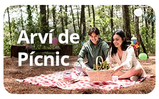 Pícnic